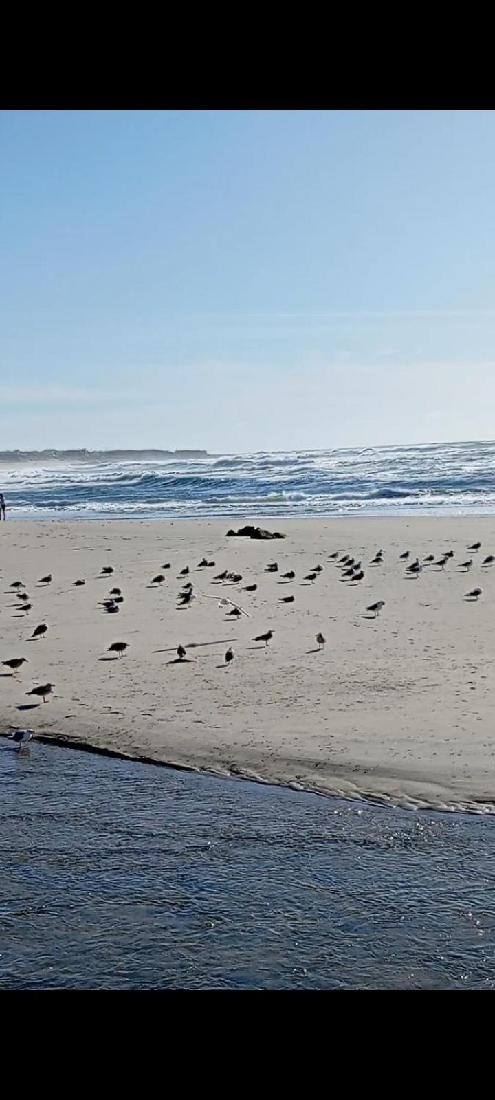 Atico Maravilloso En Cangas , Vigo Экстерьер фото
